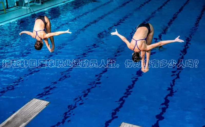 龙8官网在线试玩文心一言揭秘韩国足球职业运动员人数，你知道有多少人吗？