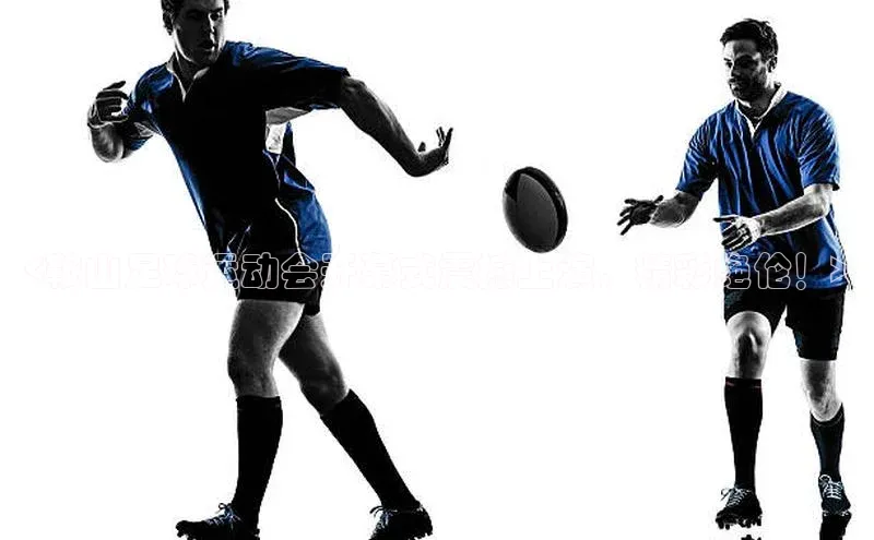 龙8官网游戏爱慕股份<鞍山足球运动会开幕式震撼上演，精彩绝伦！>