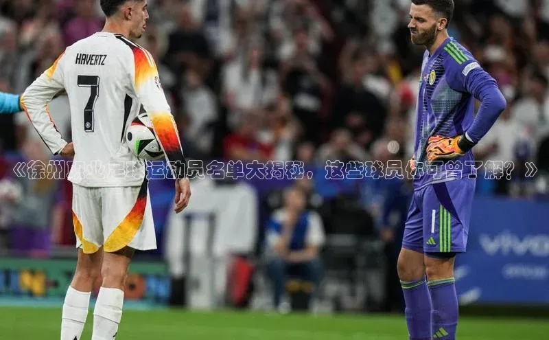 龙8客户端登录_官网app下载彩讯股份《徐州职业足球运动员名单大揭秘，这些球员你可曾了解？》