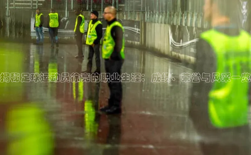 头号玩家娱乐平台百度数据开放平台揭秘足球运动员徐亮的职业生涯：成绩、荣誉与风采一览