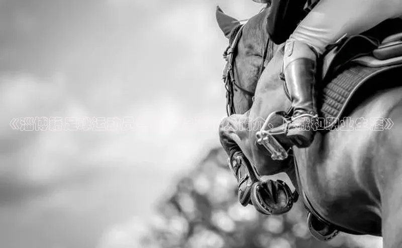 头玩官网登录入口诸葛科技《淄博籍足球运动员鲁能：综述个人简介、成就和职业生涯》