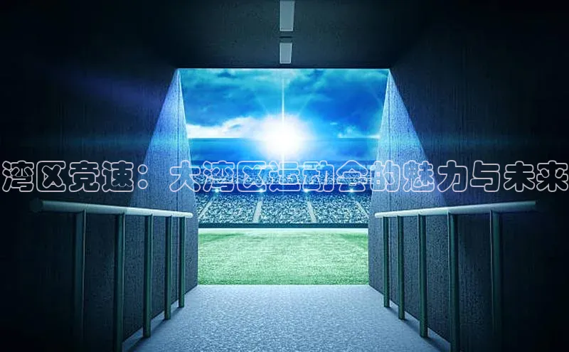 龙8官网正版顺丰湾区竞速：大湾区运动会的魅力与未来