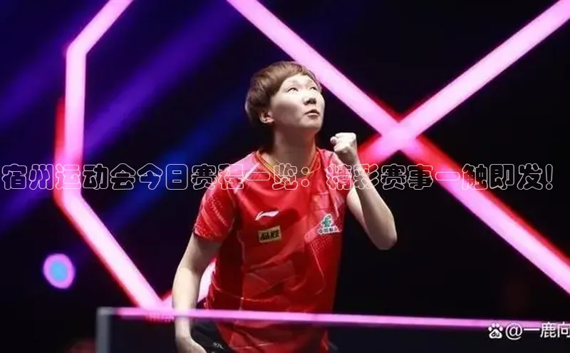宿州运动会今日赛程一览：精彩赛事一触即发！