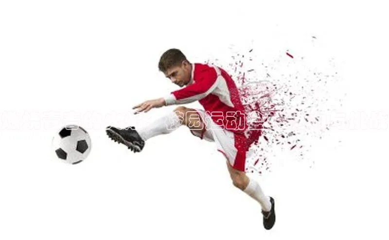 燃烧青春的火焰：校园运动会的魅力与挑战