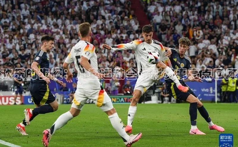 欢乐的步履：儿童运动会精彩赛事亮点回顾