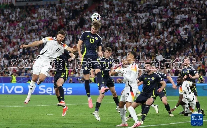 2024年度国际运动赛事回顾与分析