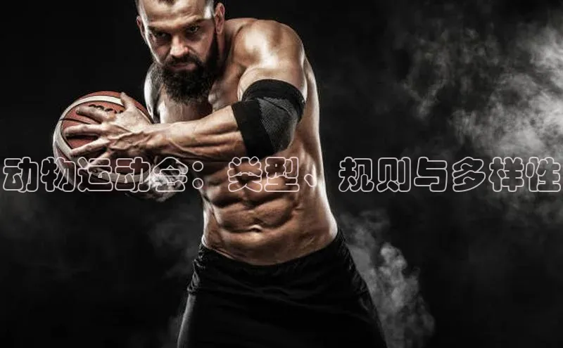动物运动会：类型、规则与多样性