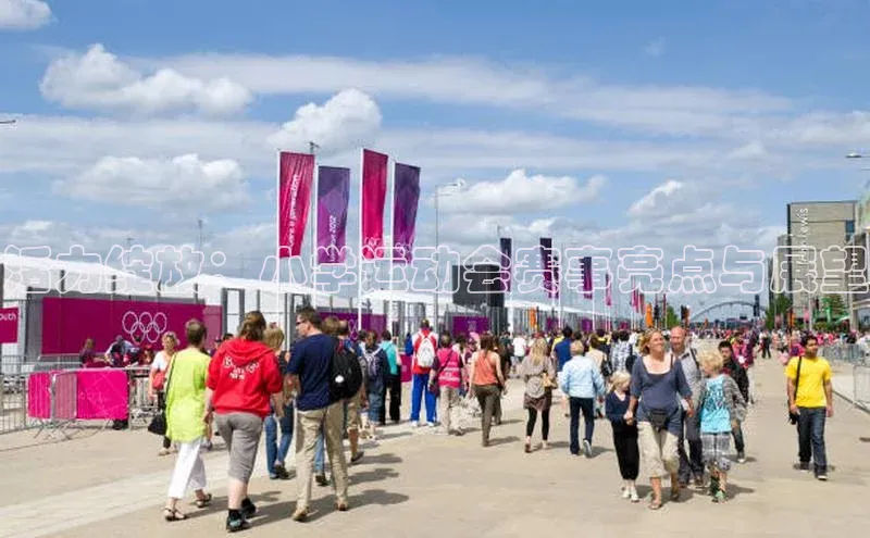 活力绽放：小学运动会赛事亮点与展望