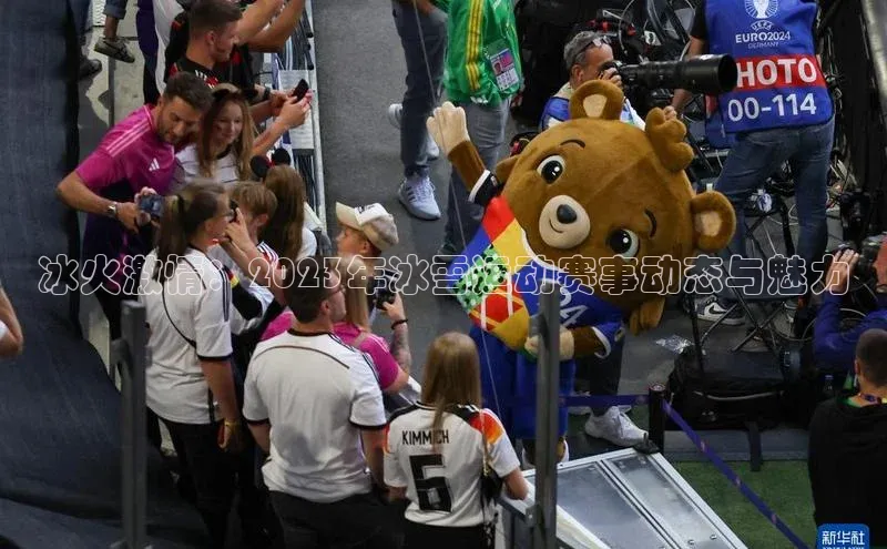 冰火激情：2023年冰雪运动赛事动态与魅力