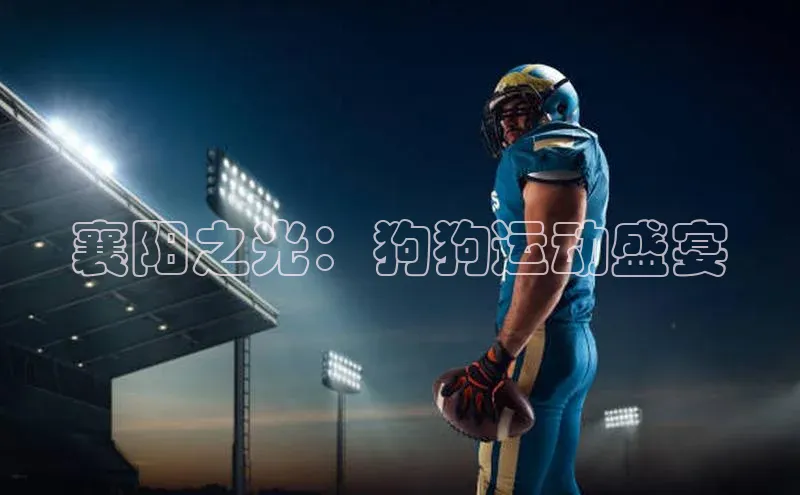 襄阳之光：狗狗运动盛宴