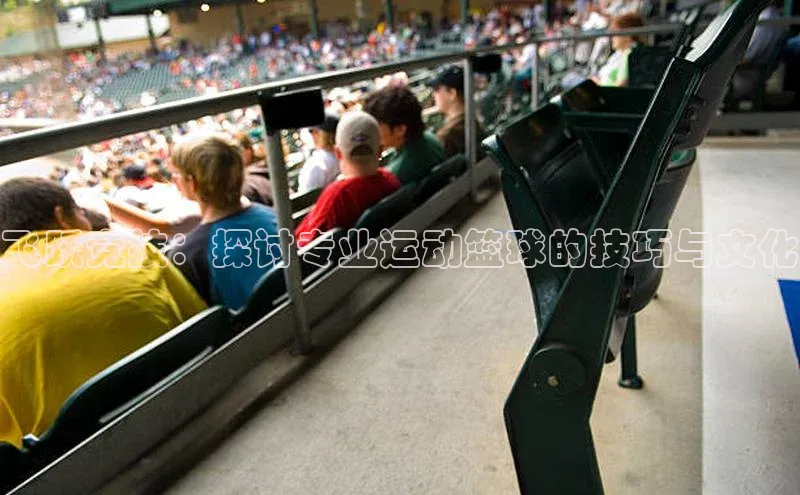 飞跃竞技：探讨专业运动篮球的技巧与文化