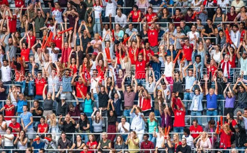 户外盛事必备：顶级运动网的设计与应用指南