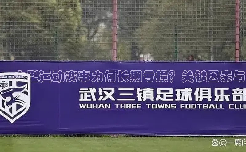 ：大型运动赛事为何长期亏损？关键因素与