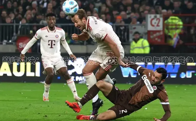 巅峰对决：拳击运动顶级赛事的震撼氛围与激烈竞争