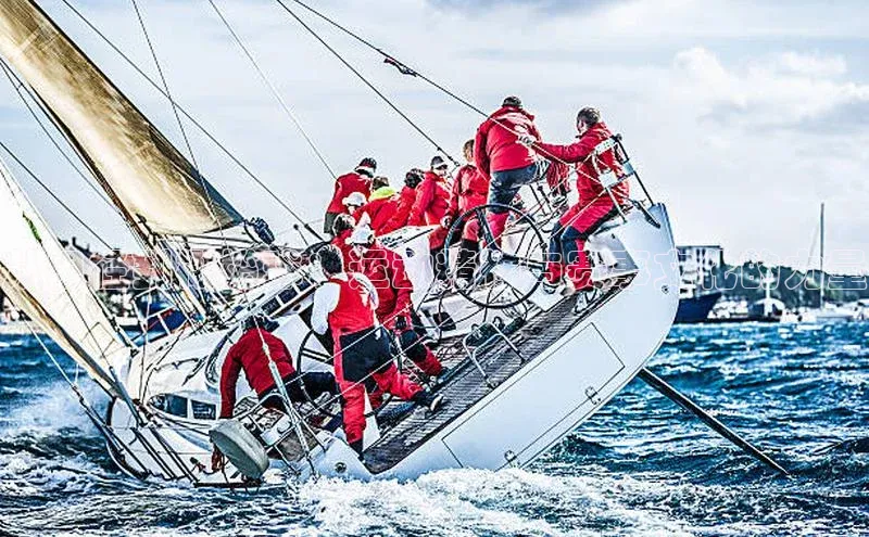 从田径到橄榄球：运动精神与赛事文化的力量