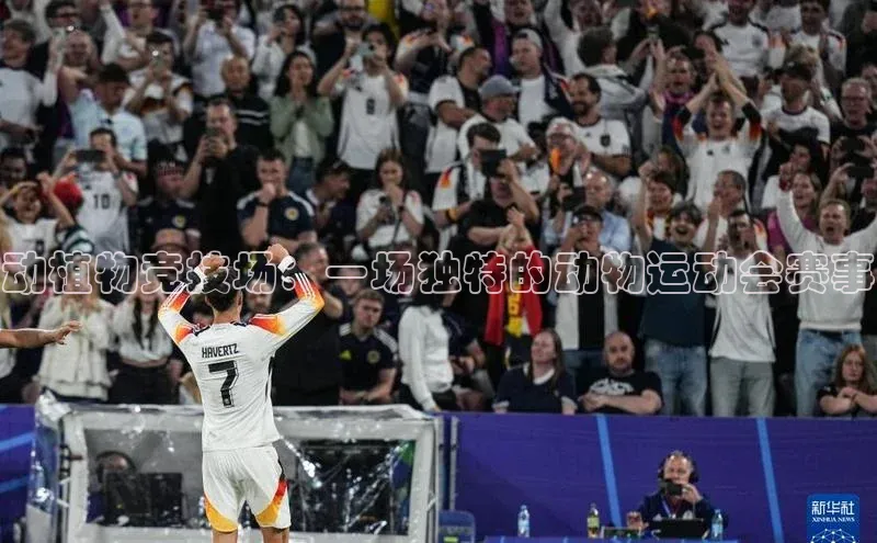 动植物竞技场：一场独特的动物运动会赛事