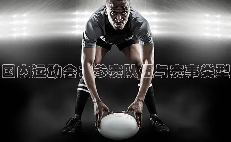 国内运动会：参赛队伍与赛事类型