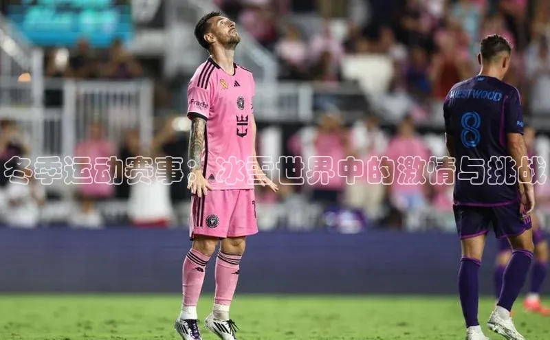 冬季运动赛事：冰雪世界中的激情与挑战