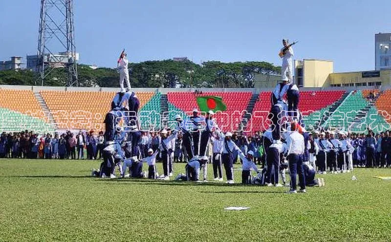 空域盛宴：运动赛事中的飞行表演艺术