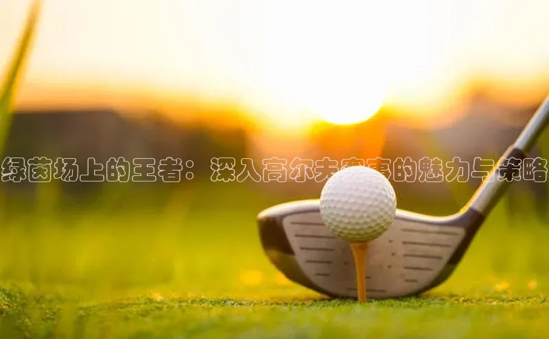 绿茵场上的王者：深入高尔夫赛事的魅力与策略