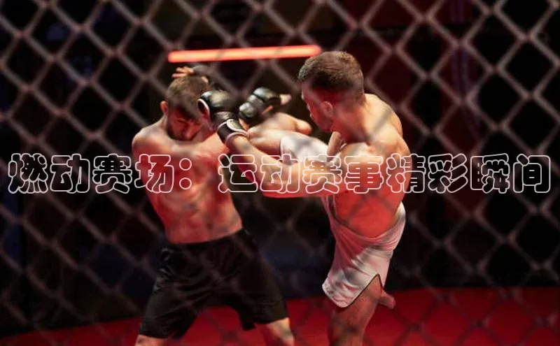 燃动赛场：运动赛事精彩瞬间