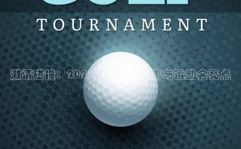 激情碰撞：2023年度体育赛事与运动会亮点